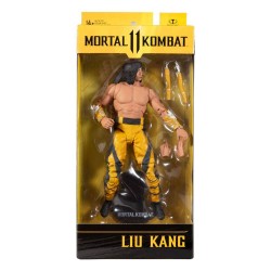 Mortal Kombat figurine Liu Kang (Fighting Abbott) 18 cm